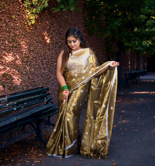 Copper Tissue Saree