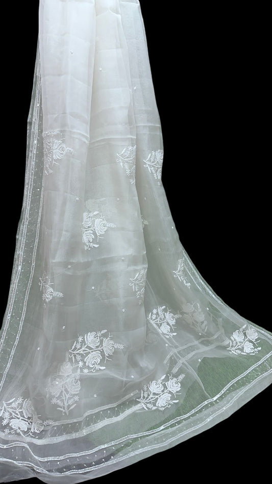 Pure Organza Saree with Pearl and Pitta Work